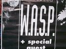 W.A.S.P. MANIFESTO ORIGINALE CONCERTO MILANO 1997