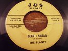 THE PLANTS - 