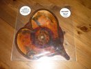 madonna --into the groove  shaped picture disc