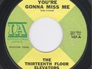The Thirteenth Floor Elevators You're Gonna Miss Me UNPLAYED MINT ORIGINAL 45