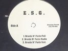 E.S.G. 