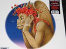 Grateful Dead vinyl lp record store day Dark Star Europe '72 limited pressing