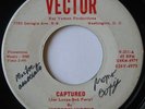 MISTERS' VIRTUE Captured / Summer Nights VECTOR GARAGE FUZZ KILLER HEAR