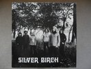 SILVER BIRCH VERY RARE ORIGINAL 1974 PRIVATE PRESSING BRAYFORD RECORDS LP EX