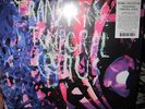 Animal Collective Transverse Temporal Gyrus 12