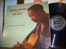 Muddy Waters  