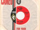 THE KINKS I Took My Baby Home/Long Tall Sally CAMEO garage 45 NM w/ sleeve