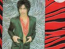 RARE 1981 UK PRINCE 12