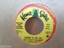 THE LOVIN' SPOONFUL SUMMER IN CITY  WLP US DJ   45 WAREHOUSE FIND M- KAMA SUTRA