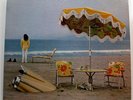 Neil Young On The Beach 1974 Original Umbrella Jacket VG++