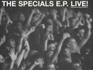 THE SPECIALS 7