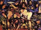 THE TRAGICALLY HIP 