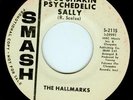 SOUL SHAKIN' PSYCHEDELIC SALLY - The Hallmarks, 1967, promo