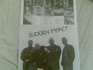 sudden impact storm lp skinhead rac oi isd ror