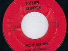 KILLER DETROIT GARAGE PUNKER - PATLOW - MOTOR CITY BONNEVILLES  HEAR