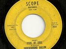 GARAGE 45 by THE UNDERGROUND BALLON RARE HEAR IT