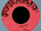 HEAR IT RARE GARAGE The Tamrons Pyramid 7381 Wild Man