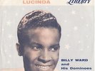 BILLY WARD/DOMINOES--PICTURE SLEVE ONLY---(STARDUST)--PS--PIC--SLV