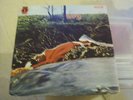 Spring LP Same UK RCA Neon 1st press Plays brilliant Prog monster Killer 8 pics