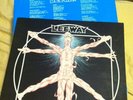 Leeway - Born to Expire LP Agnostic Front Cro-Mags NYHC Sheer Terror