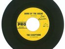 RARE 45 RPM, The Exceptions, Pro Records #1 A/B, VG+,1963, Down By The Ocean