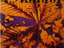 PYRANHA - PYRANHA (VERY RARE ORIG. FR. / NEAR MINT/MINT)