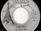 PARIS TOWER 60s Florida Garage 45 - SWEET SOUL GENERATION