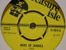 DENNIS ALCAPONE 'WAKE UP JAMAICA' 1973 RARE UK SKINHEAD REGGAE TREASURE ISLE 45