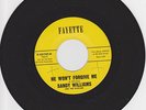 RARE SOUL - SANDY WILLIAMS - HE WON'T FORGIVE ME / DEVILS THEME - FAYETTE