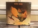 Rare Bird 