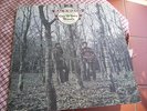 Magnificent Progressive Folk GAY & TERRY WOODS Backwoods Polydor UK 1975