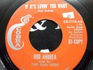 ROD ANDREA IF IT'S LOVIN YOU WANT 1965 COBRA 1115 DJ NORTHERN SOUL TEX MEX 45