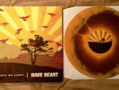 HAVE HEART LP 1ST PRESS sxe in my eyes youth today chain strength backtrack xxx