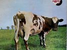 RARE PINK FLOYD IMPORT QUADRAPHONIC SQ 