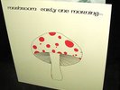  Mint MUSHROOM   EARLY ONE MORNING 1973 MONSTER RARE UK Folk PROG psych