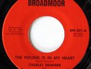 rare Soul 45 CHARLES BRIMMER feeling is in my heart