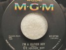 * * THE LEATHER BOY - I`M A LEATHER BOY / SHADOWS , GREAT GARAGE 1967 M- 45 * *