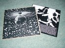 Neil Young - Mirror Ball  2LP (EX+/EX+)