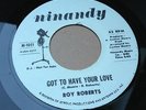 Roy Roberts - Got To Have your Love / Legend Of Otis Redding - Ninandy  (listen)
