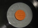 Tampa Red RCA 0107 Don't Blame Shorty For That/Sweet Little Angel VG+