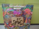 ORIGINAL 1968 FLAT EARTH SOCIETY LP,WALEECO ON FLEETWOOD FCLP 3027