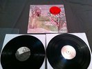 Margot and the Nuclear So and Sos Not Animal oop Buzzard Mates of state