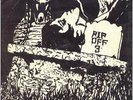 ? COBRA (Ireland) - Looking For A Lady // Rip Off #03 // TEARJERKERS 1978 ?