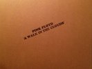Pink Floyd   A Walk In The Clouds