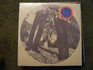 Ty Segall & the white fence - RARE -RSD LP - Limited   -NEW