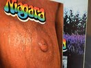 Alte Krautrock Lp Niagara mit  (Udo Lindenberg) Same UAS 29232 I top zustand