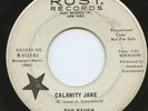 HEAR-Rare Mod / Garage 45- The Raven- Calamity Jane-Rust #R-5123DJ - Promo - VG