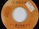 Northern Soul 45 BROTHERS OF SOUL Dream SHOCK HEAR