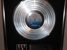 Blondie Parallel Lines  platin Schallplatte goldene