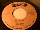 SKULL SNAPS GSF 6891 IT'S A NEW DAY / MY HANG UP IS YOU -RARE FUNK -LISTEN